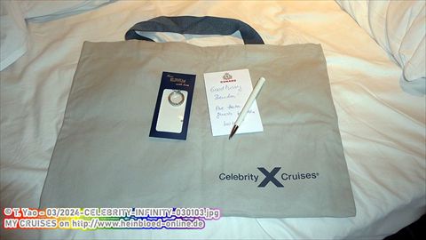 2024-CELEBRITY-INFINITY-030103