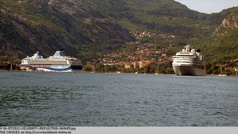 2022-CELEBRITY-REFLECTION-060605